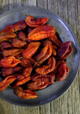 Super Hot Chilli Leviathan Gnarly Scorpion LAH 2025 web _DSF8653 scaled