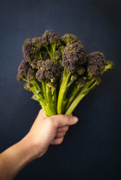 Sprouting Broccoli Rudolph LAH 2025 web _DSF2467 scaled