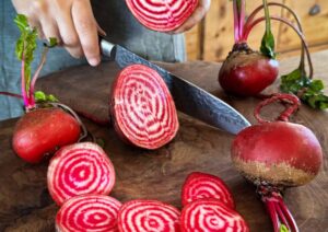 Beetroot Chioggia LAH 2025 web IMG_3872 scaled