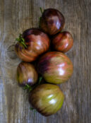 Tomato Rebel Starfighter Prime LAH 2025 web _DSF8538 scaled