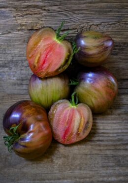 Tomato Rebel Starfighter Prime LAH 2025 web _DSF8536 scaled