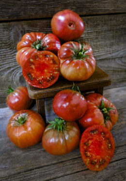 Tomato Brandywine LAH 2025 web _DSF7129 scaled