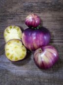 Tomato Sart Roloise LAH 2025 web _DSF8527 scaled