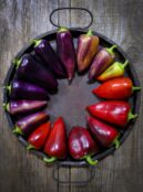 Sweet Pepper Violet Sparkle LAH 2025 web _DSF8485 scaled