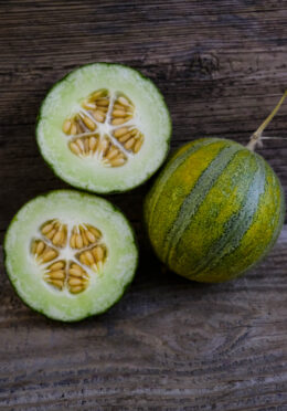 Melon Ogen LAH 2025 web _DSF8405 scaled