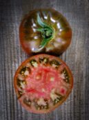 Tomato Cherokee Purple LAH 2025 web _DSF8173 scaled