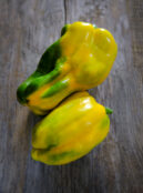 Sweet Pepper Yellow Monster LAH 2025 web _DSF7573 scaled