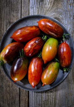 Tomato Shadow Boxing LAH 2025 web _DSF7822 scaled