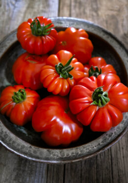 Tomato Costoluto Genevese LAH 2025 web _DSF7790 scaled