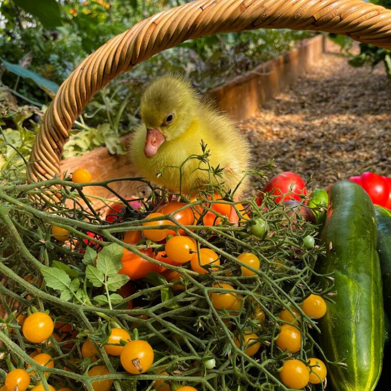 5a19a365 63af 4ffa 8b10 b408e493094a