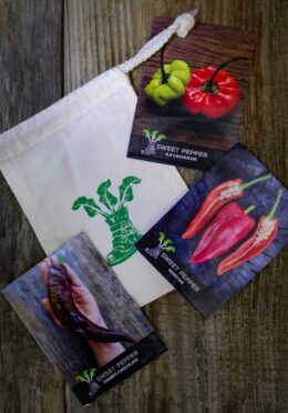 Gift Pack Sweet Pepper Trio LAH 2026 web _DSF8866 scaled