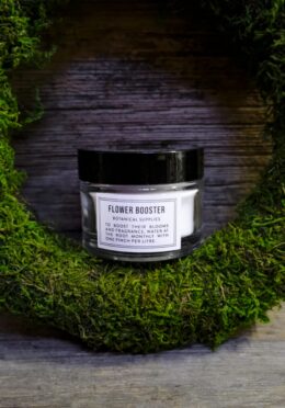 Garden 268 LAH 2026 web _DSF8829 scaled