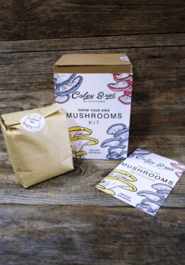 Garden 259 LAH 2025 web_DSF8588 1 scaled