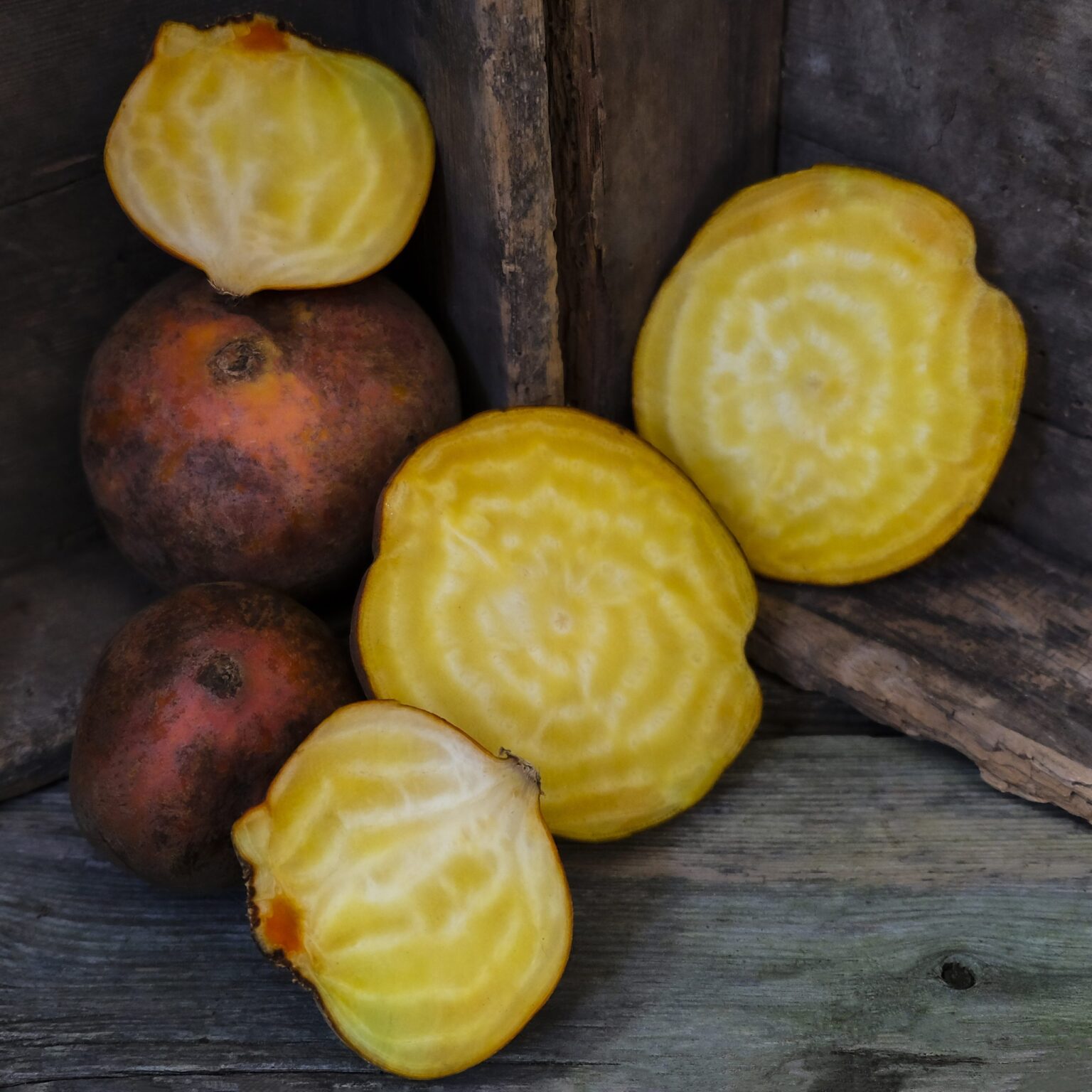 How to Sow and Grow Beetroots | She Grows Veg