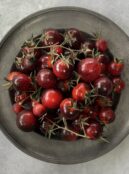 IMG_7365square scaled 1