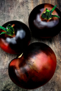 Tomato Indigo Rose cover 1