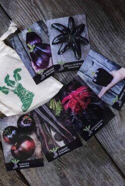 Gift Pack Black Veg LAH 2024 web_DSF3028 scaled 1