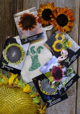 Gift Pack Sunflower LAH 2024 web _DSF4421 scaled 1