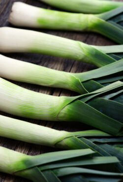 Leek Blue De Solaise cover shutterstock_2428421461 scaled 1