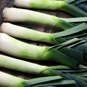 Leek Blue De Solaise cover shutterstock_2428421461 scaled 1