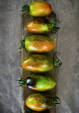 Tomato Atomic Grape LAH Cover CropIMG_5865 1