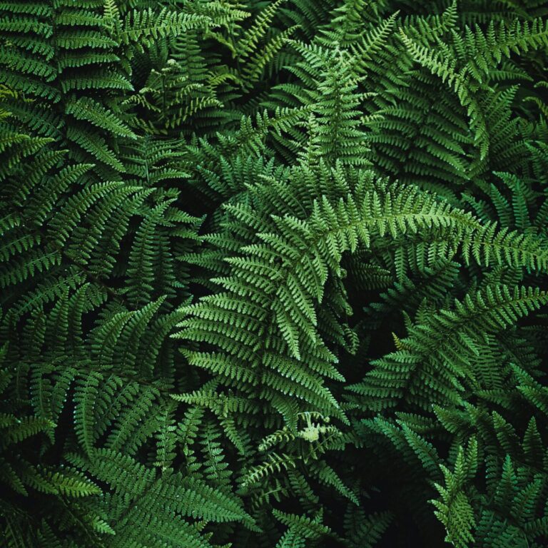 preethi viswanathan GCof3Y8EO8o unsplash scaled