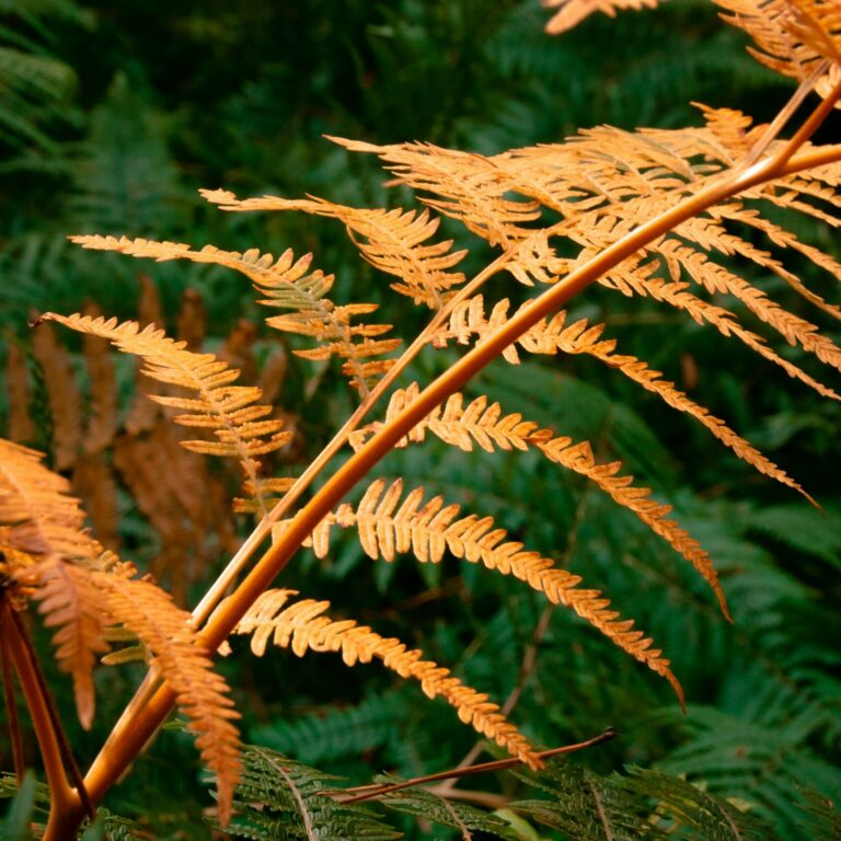 matthieu lemarchal dmr6xHrZ4hQ unsplash scaled
