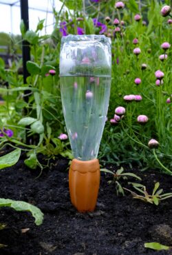 Gardening Watering Spikes