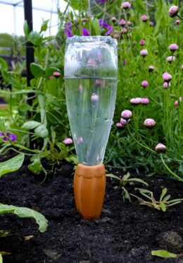 Gardening Watering Spikes