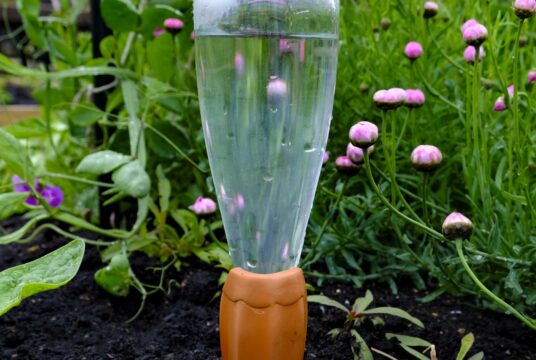 Gardening Watering Spikes