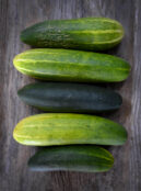 Cucumber Dar LAH 2025 web_DSF7508 scaled
