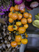 Storage Tomato Gallioroso di Crispiano LAH 2026 web _DSF8818 scaled