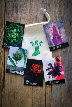 Gift Pack droughttolerant SW Portrait scaled