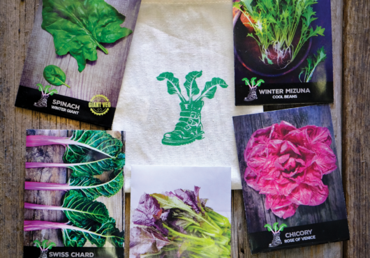 Gift Pack polytunnel SW Portrait scaled