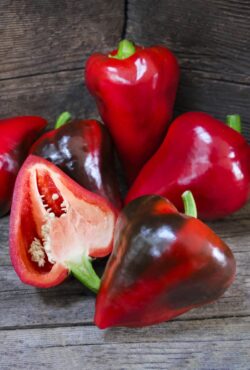 Sweet Pepper Lesya LAH 2024 web _DSF3485 scaled