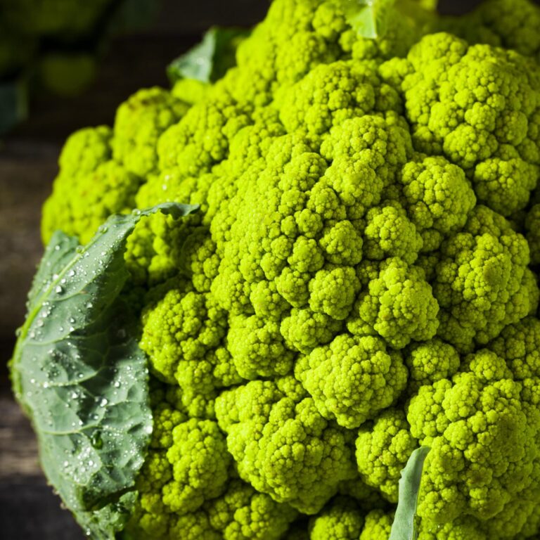 Cauliflower Verdi Di Macerata web shutterstock_465726047 scaled