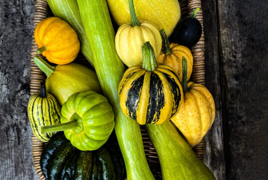 Pumpkins Gourds and Squash