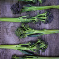 Broccoli Seeds