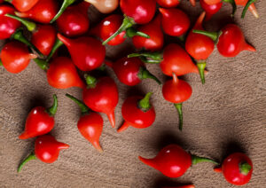 Cover Chilli Biquinho shutterstock_1739983172 scaled 1