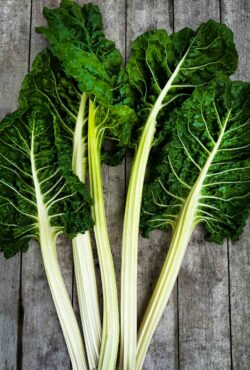 Swiss Chard Fordhook Giant LAH 2024 web IMG_5258 scaled
