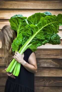 Cover Swiss Chard Fordhook Giant LAH web IMG_4162 scaled