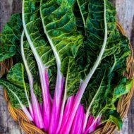 Swiss Chard