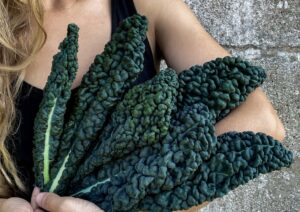 Cover Kale Prescoce Di Toscana web IMG_5382 scaled