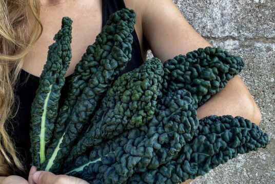 Cover Kale Prescoce Di Toscana web IMG_5382 scaled