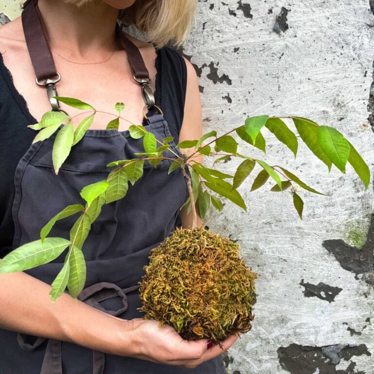 Edible Tree Beef Onion LAH 2024 web IMG_4380 scaled