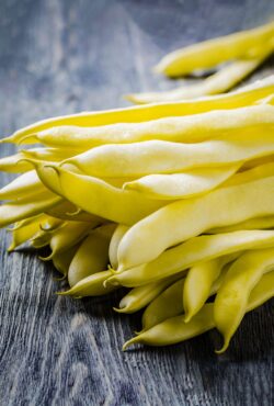 shutterstock_787610356 scaled