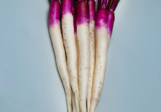 Turnip Hinona