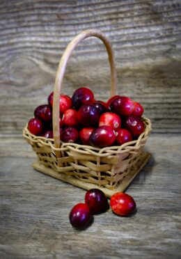Garden Berry Cranberry LAH 2025 web_DSF8691 scaled