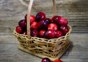 Garden Berry Cranberry LAH 2025 web_DSF8691 1 scaled