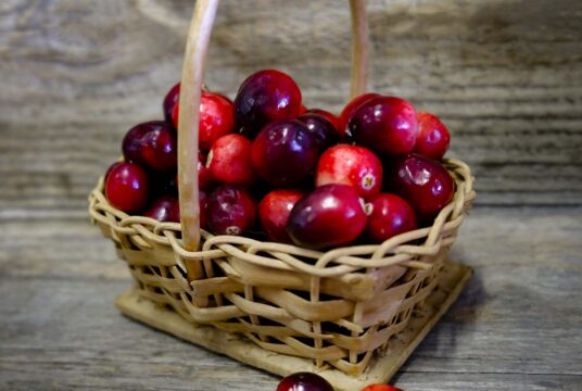 Garden Berry Cranberry LAH 2025 web_DSF8691 1 scaled